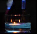 Microplasma's photo
