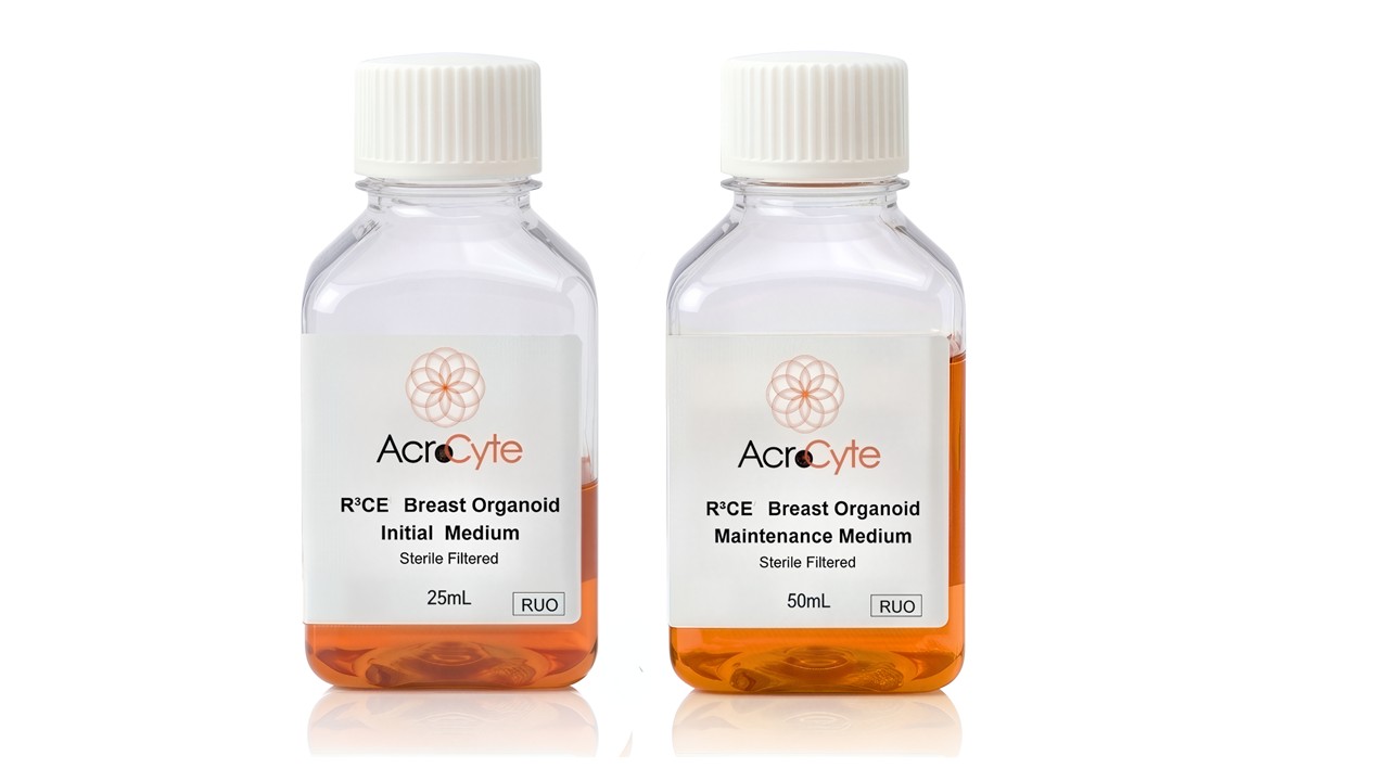 R³CE® Organoid Culture Medium's photo