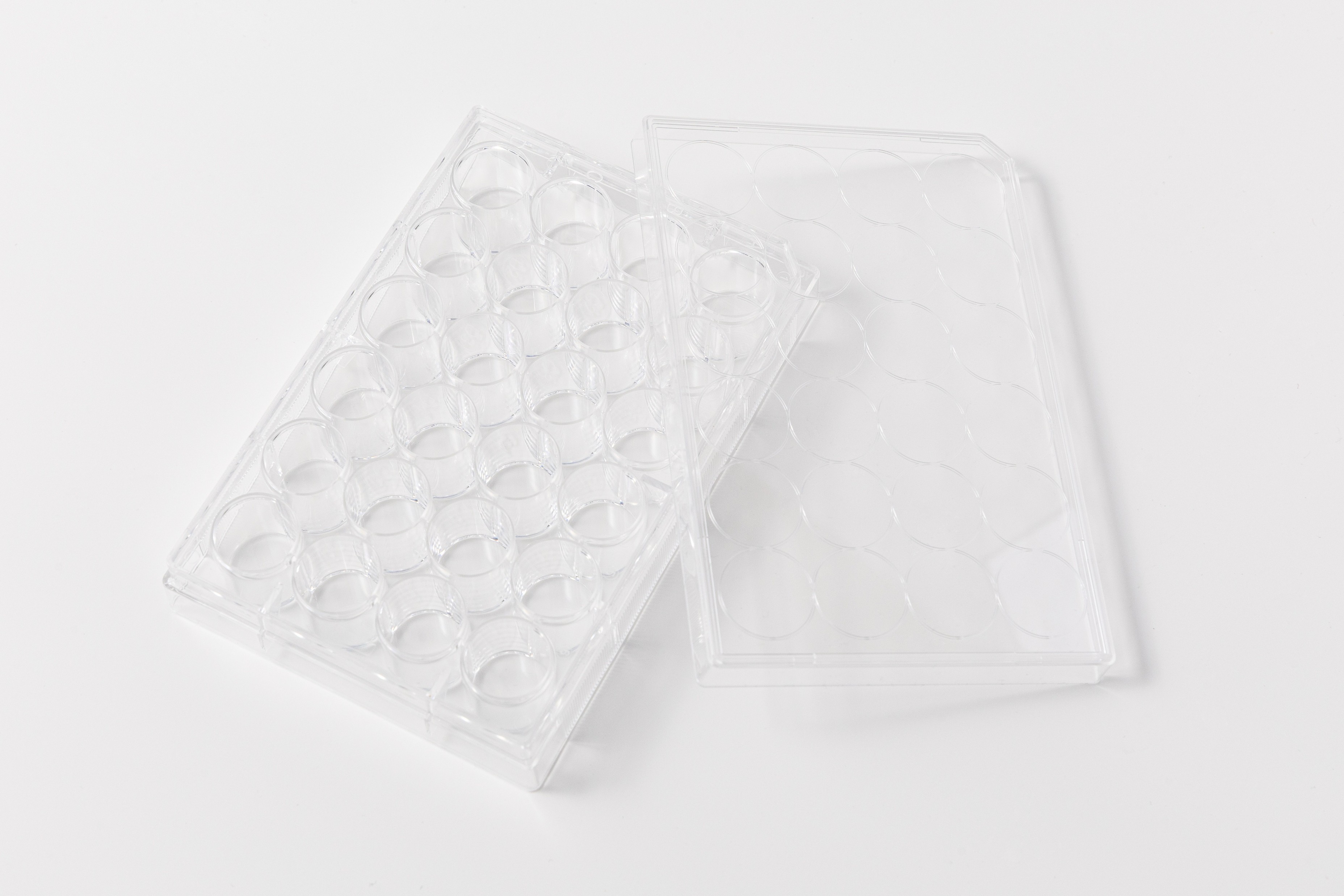 R³CE® 3D Cell Culture Plate's photo